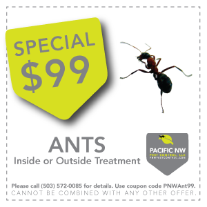 ant treatment coupon