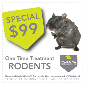 mice removal coupon